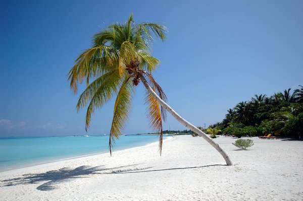 Vacances en famille : pêche et détente au camping en Vendée
